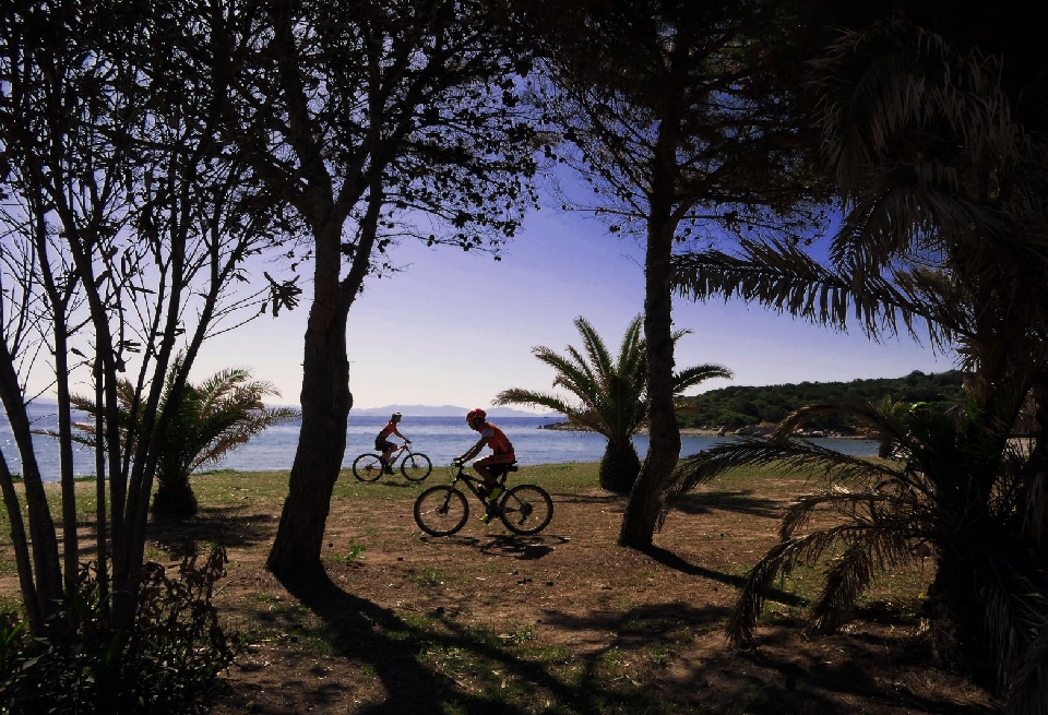 COSTA SUD